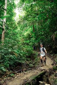 BIB: 
                            <button type="button" onclick="openModal(24679178)" class="btn btn-primary btn-sm float-right btn-popup" data-toggle="modal" data-target=".modal-high-quality">
                        <i class="fas fa-shopping-cart"></i> Add to Cart
                    </button>
                                            <button type="button" onclick="isThisMe(24679178, true)" class="btn btn-success btn-sm float-right btn-popup btn-isme hidden" data-toggle="tooltip" data-placement="bottom" title="นี่คือรูปของคุณใช่ไหม คลิกที่นี่เพื่อเอาเข้าอัลบั้ม">
                        <i class="fas fa-plus"></i> Add to album
                    </button>
                    <button type="button" onclick="isThisMe(24679178, false)" class="btn btn-warning btn-sm float-right btn-popup btn-isnotme hidden">
                        <i class="fas fa-ban"></i> Remove from album
                    </button>